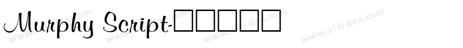 Murphy Script字体转换